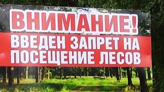 Запретили въезд автомобилей на территорию леса